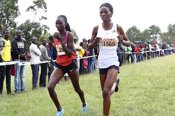 Kenya's Lydia Lagat (left) in cross-country action (Getty Images)